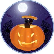 cat in a pumpkin