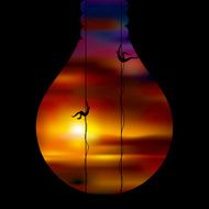 bulb concept N16
