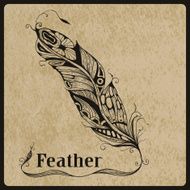 Vector feather on rough paper texture