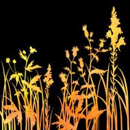 Silhouettes of flowers and grass N81
