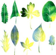 set of silhouettes by leaves in watercolor N13