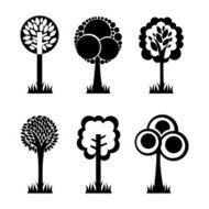 Ecology design N55