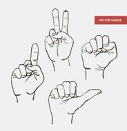 vector hand drawn image hands
