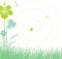 Meadow plants N6