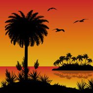 Tropical island palms flowers and birds