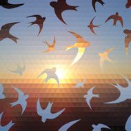 swallow silhouette on triangle sky and sun