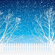 winter N38