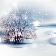 winter N39
