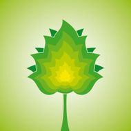 Tree N146
