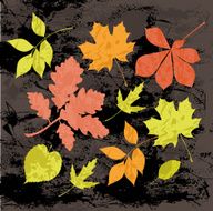 Silhouettes of autumn leaves