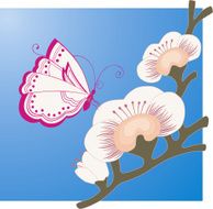 butterfly on the branch