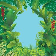 exotic tropical forest N3