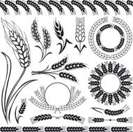 Silhouettes of wheat