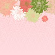 Dahlia Background (Pink)