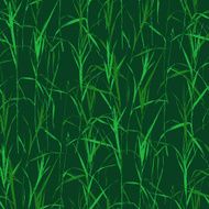 Grass seamless pattern N4