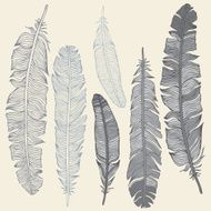 Feather set N22