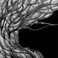night tree fear N2