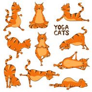 Funny red cat doing yoga position