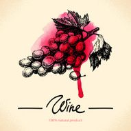 Wine vintage background N7