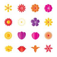 Flower Colorful Icons