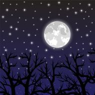 moon in the sky with stars