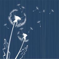 dandelion background N6