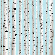 Birches in vector N5
