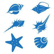 seashells N9