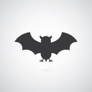 flight of a bat