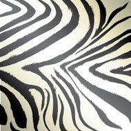 zebra fur
