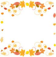 Autumn border N4