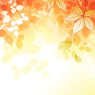 Autumn Background N152