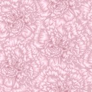 Beautiful seamless background with pink carnation N4