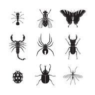 Set of vector insects volume 1