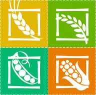 CEREAL ICON SET N2