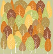 autumn forest N15
