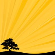 Sun Tree