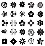 flower vector set N3