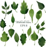 set of silhouettes by leaves in watercolor N15