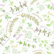 Seamless Pattern With Aromatic Herbs And Cute Titles