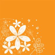 floral frame N303