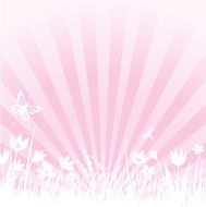 Spring on pink