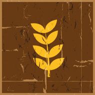 Wheat grunge