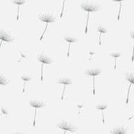 Dandelion seamless background N2