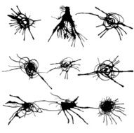 spider splat