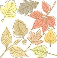 autumn leaves N115