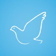 Dove on blue background