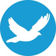 Dove for peace concept wedding design Flying dove white silhouette N2