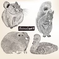 Collection of vector detailed animals for design