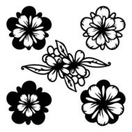 Flowers isolated